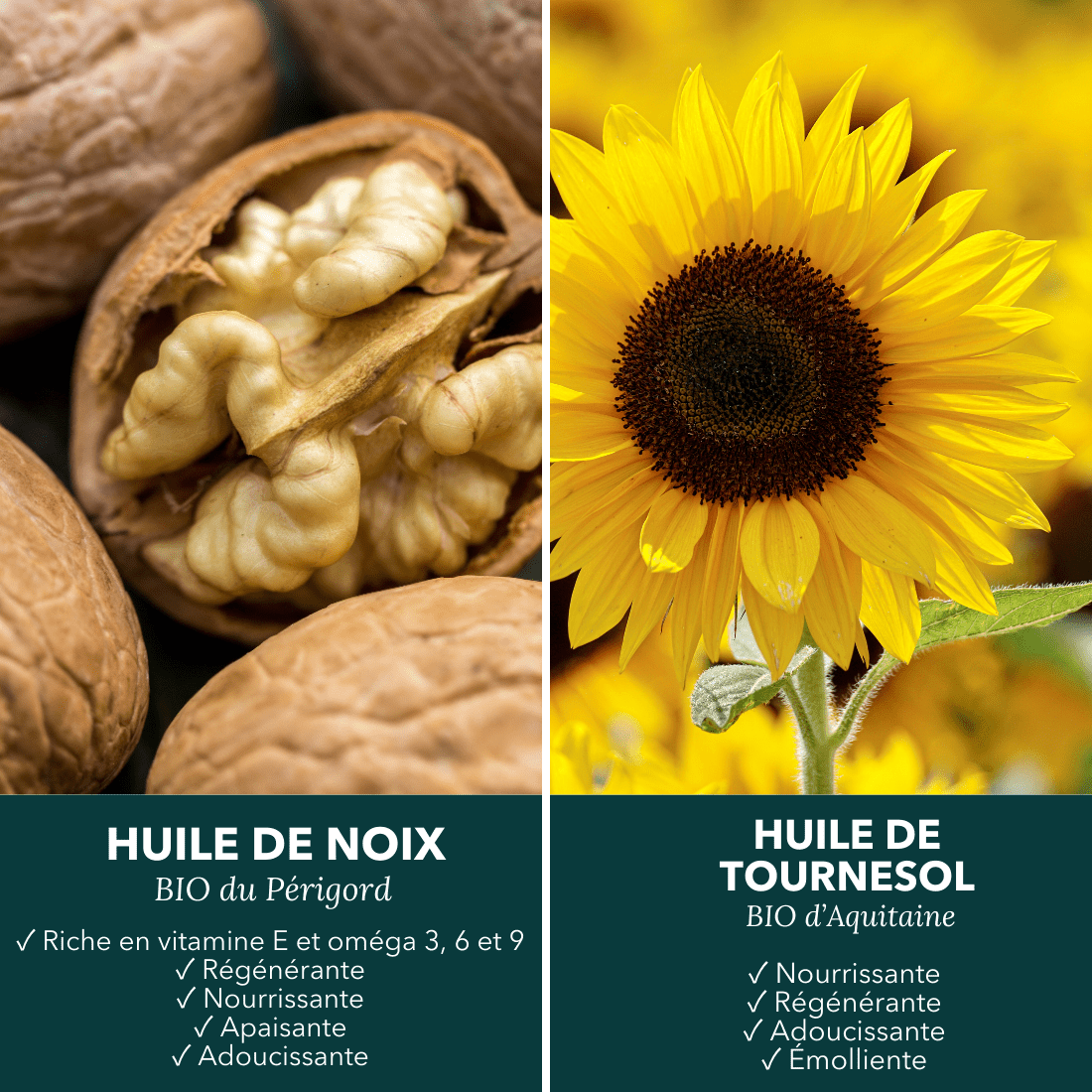 Savon surgras à l'huile de noix