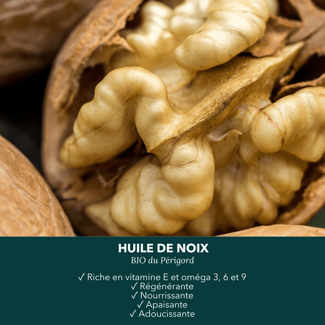 Huile de noix BIO du Périgord